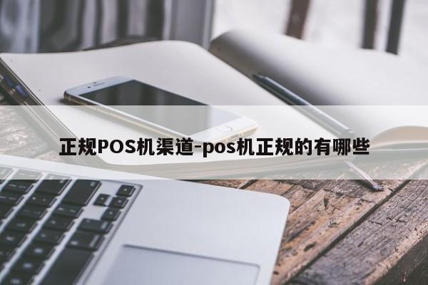 宜城正规POS机渠道-pos机正规的有哪些